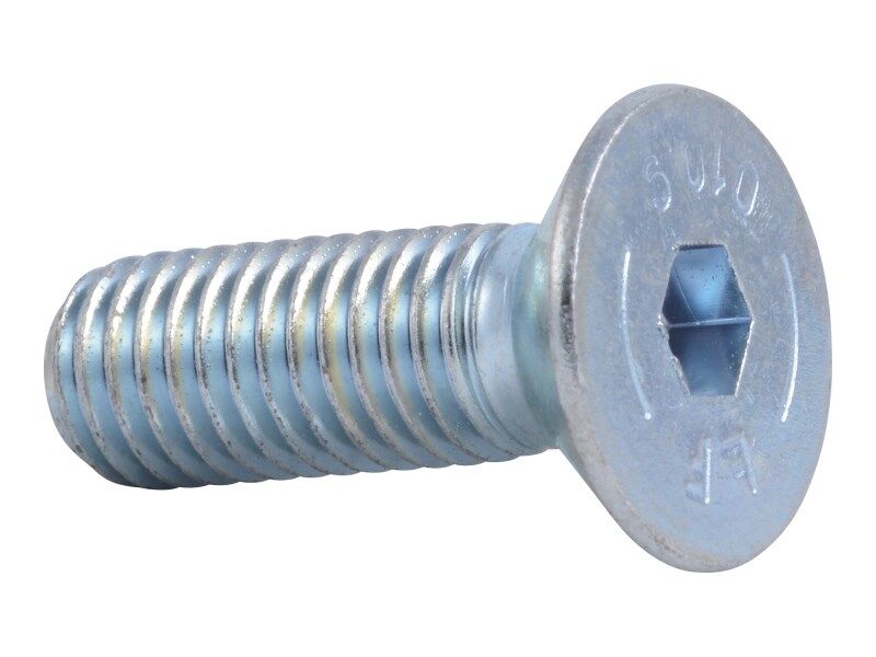 BV006300 Screw | JLG