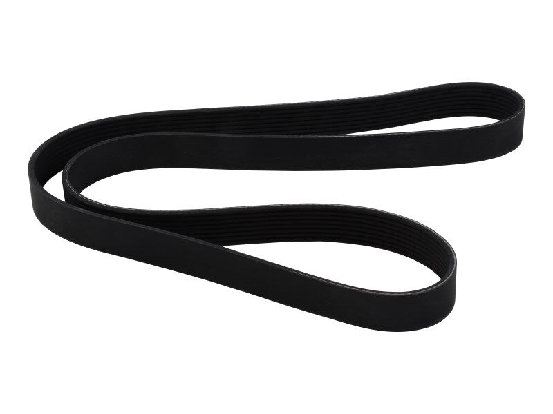 3288724 Belt, V-Ribbed | Cummins