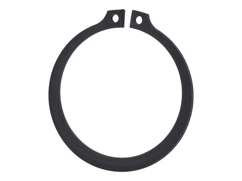 D87257 Retaining Ring | Case
