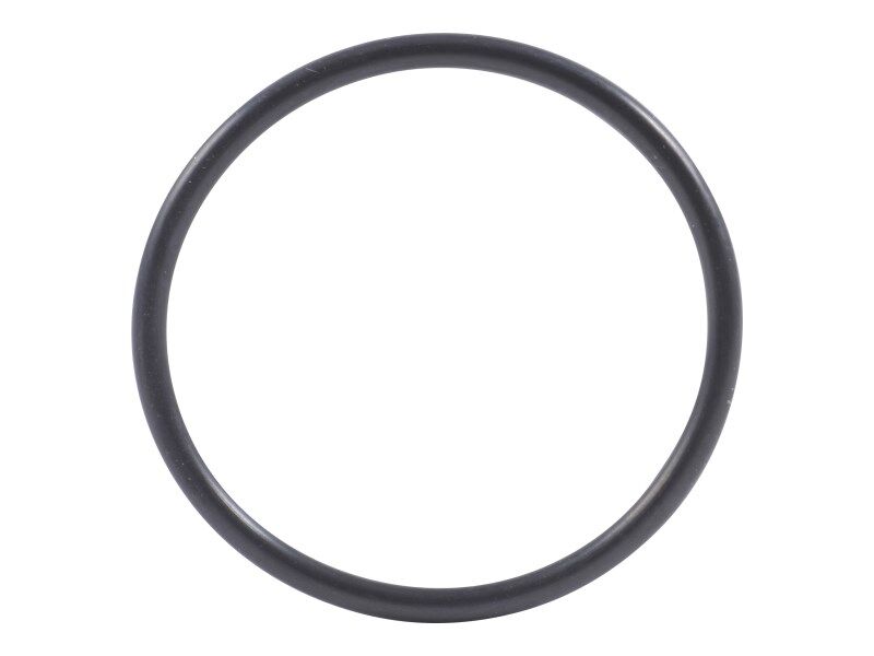 4210660 O-Ring | Dana