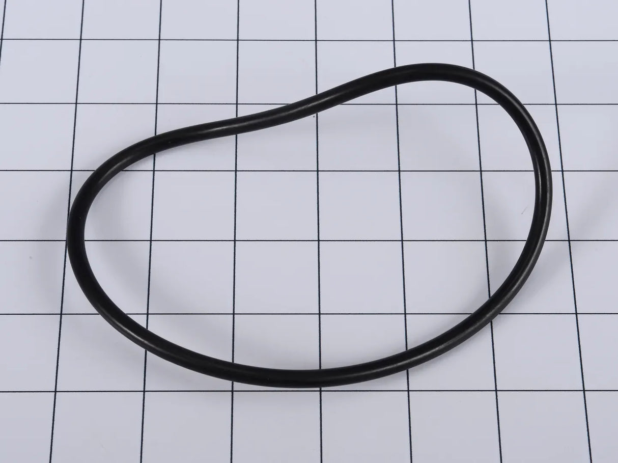 58K351 O-Ring | Dana