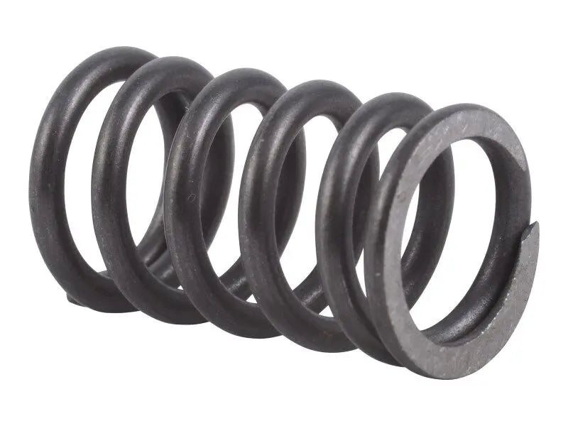 V350067 Spring | Dana