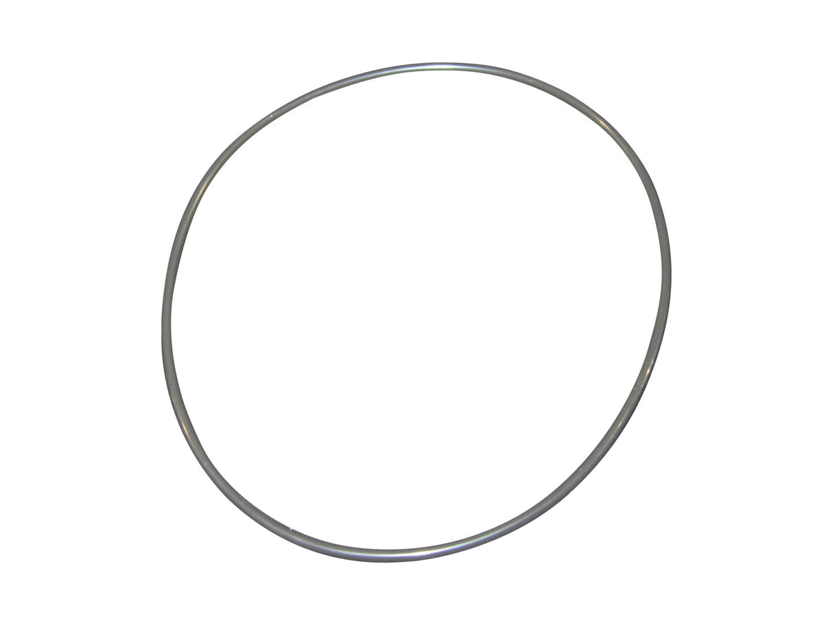 L500389 O-Ring | Gehl