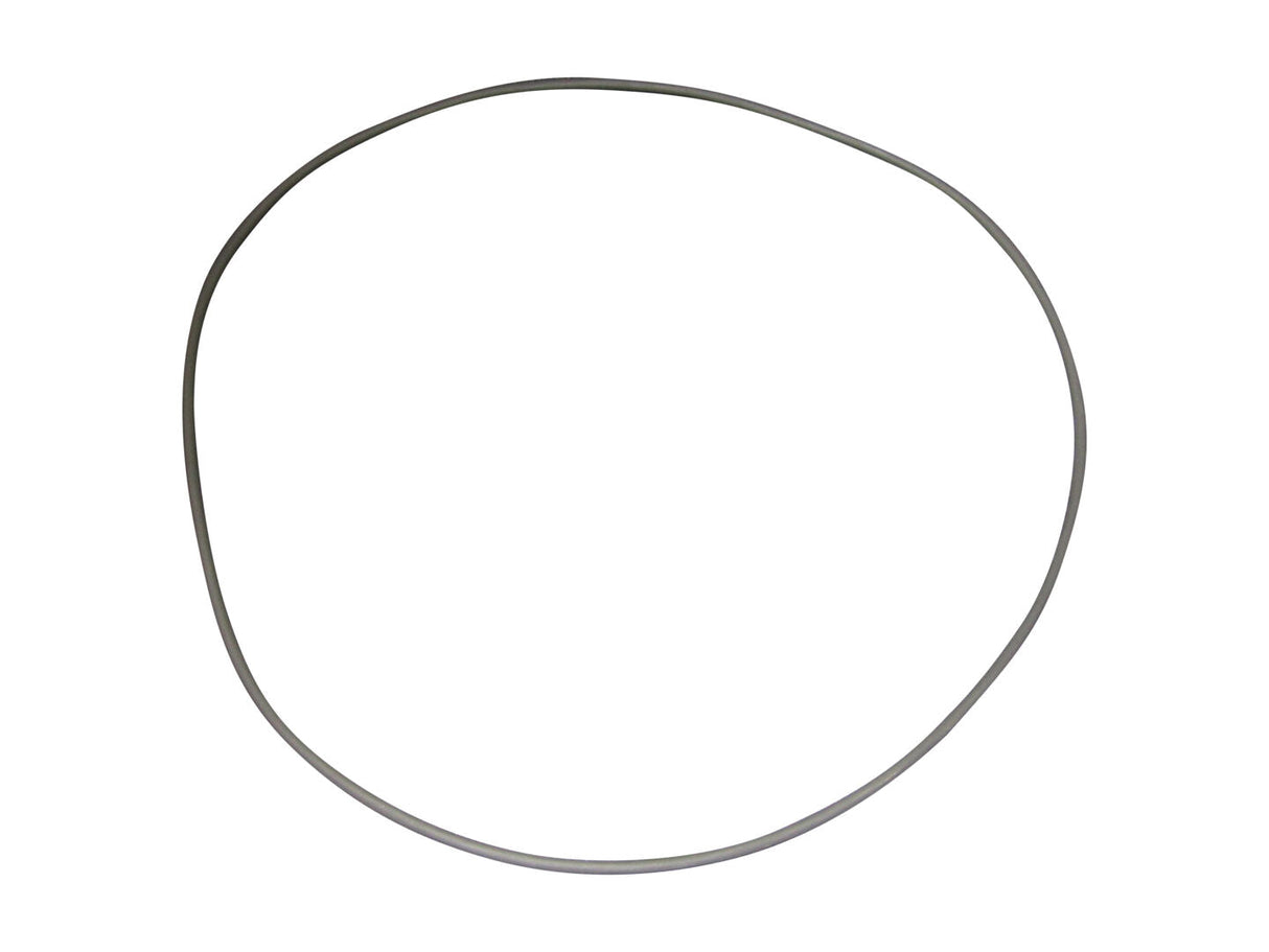 L99586 O'Ring | Gehl