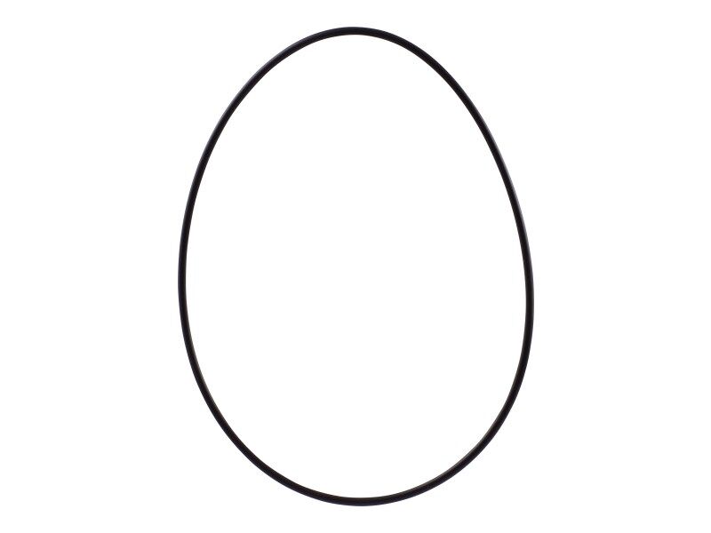 106118 O-Ring | Genie