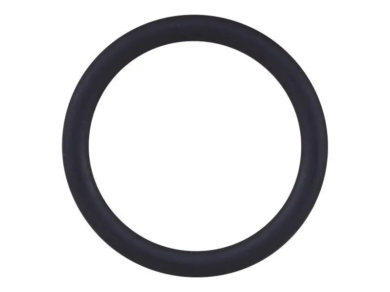 1262875 Sealing Ring | Genie
