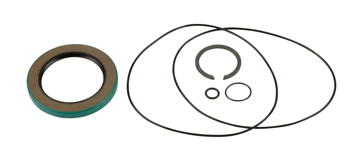 Part Number 21142 Seal Kit (W1B) fits Genie