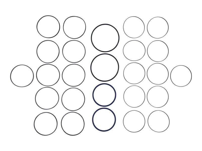 77520 Seal Kit, Swivel | Genie