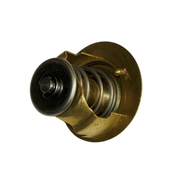 Part Number 2324003950 Water Temperature Thermostat fits Haulotte