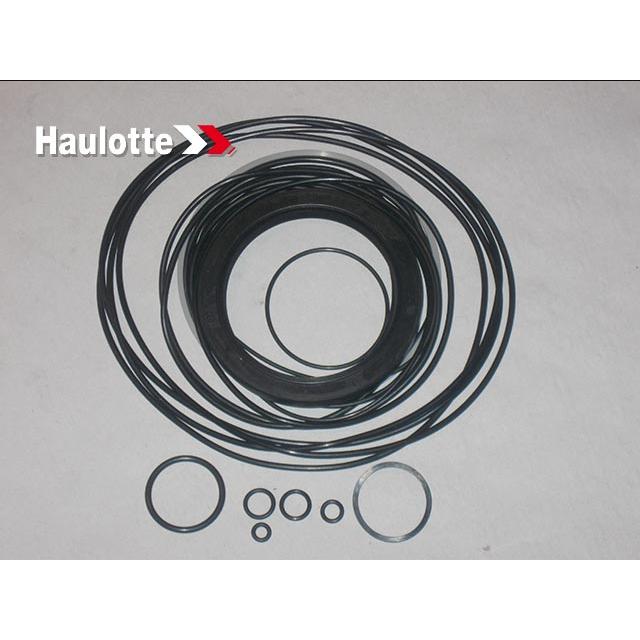 2325003150 Seal Kit | Genuine Haulotte