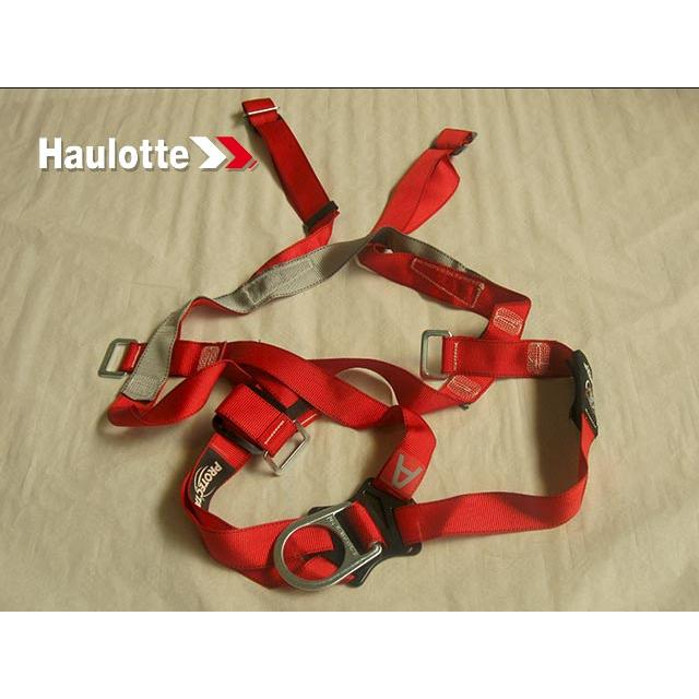 2326000880 Harness | Genuine Haulotte