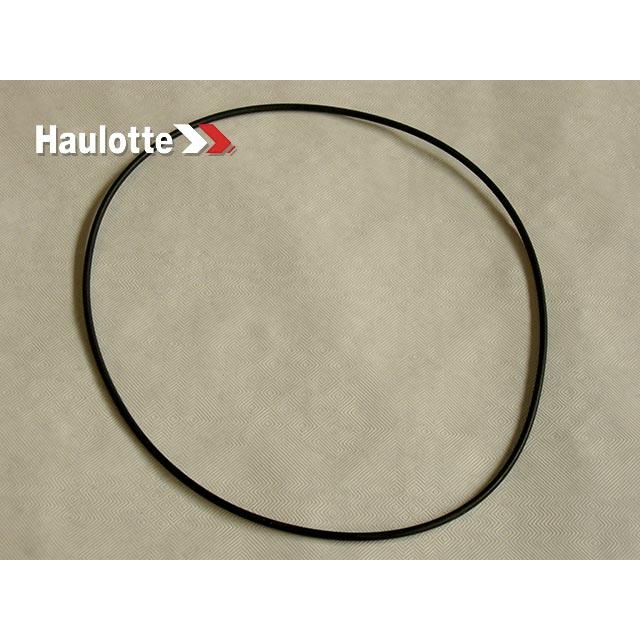 2326003490 Seal | Genuine Haulotte