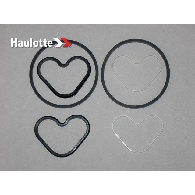 Part Number 2421003390 Set Of Seals For Unit fits Haulotte