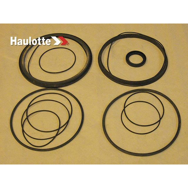 Part Number 2421692440 Pack / Reducer Seals Ctd205 fits Haulotte