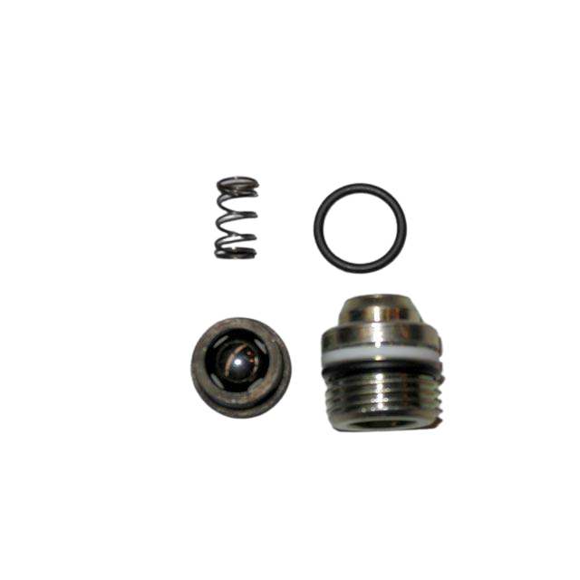 2426602790 Check Valve For Valve Body | Genuine Haulotte