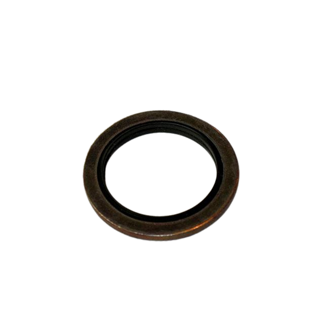 Part Number 2505000070 Ring fits Haulotte