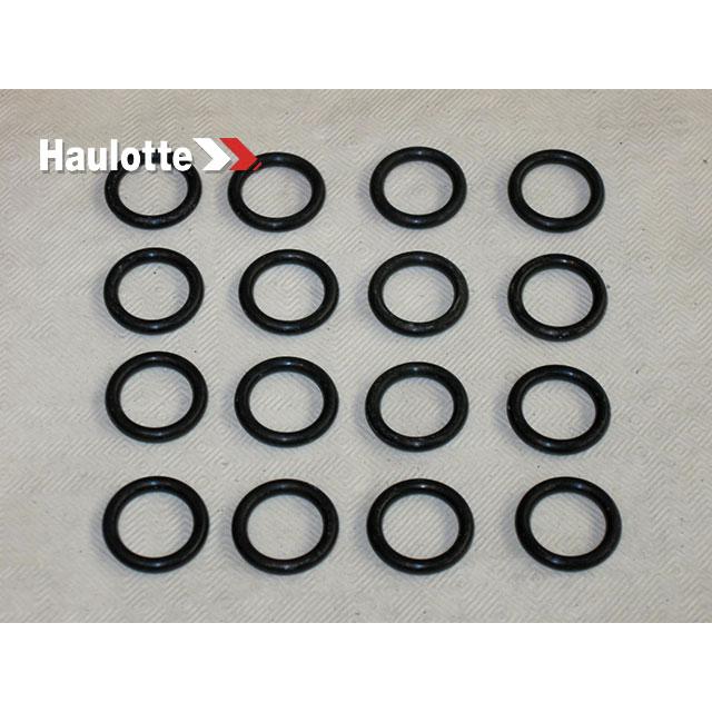 2505001200 Seal | Genuine Haulotte