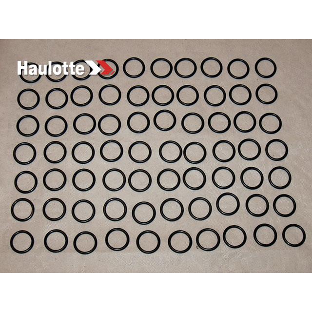Part Number 2505001300 Seal fits Haulotte