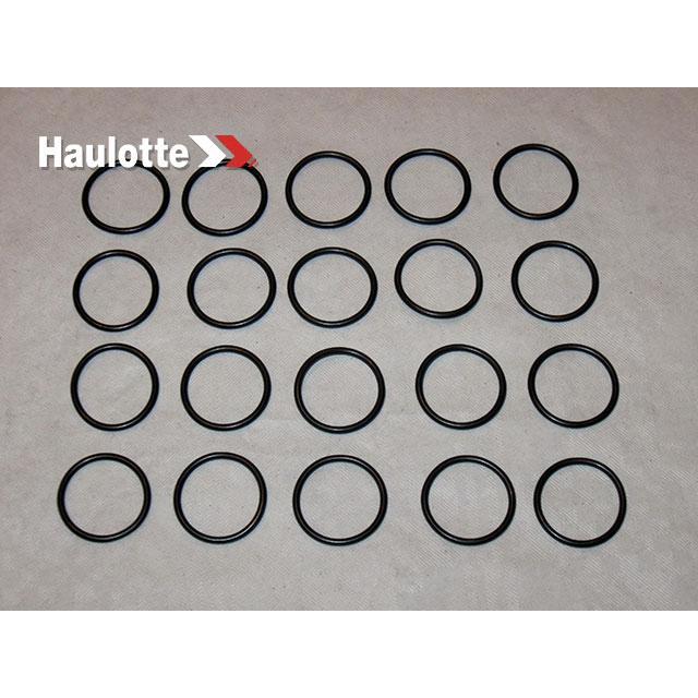 Part Number 2505001320 Seal fits Haulotte