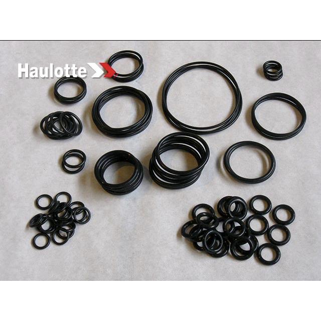 Part Number 2505003040 Seals Kit fits Haulotte