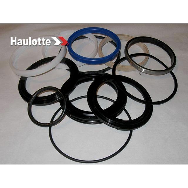 2505004910 Seal Kit | Genuine Haulotte