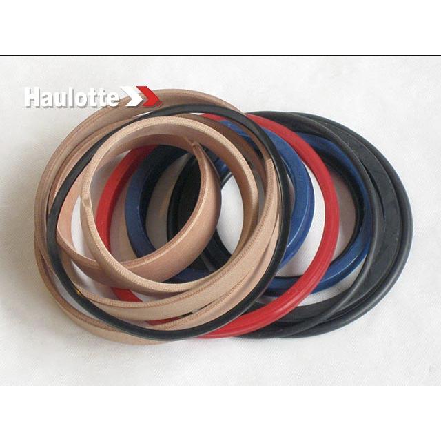 2505005170 Seel Kit Version 2 | Genuine Haulotte