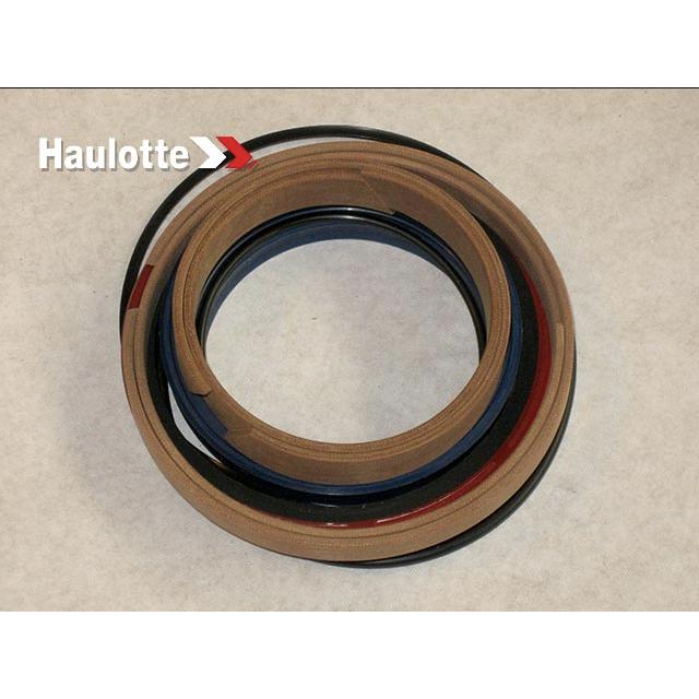 2505005310 Seal Kit | Genuine Haulotte