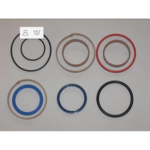 2505006750 Seal Kit | Genuine Haulotte