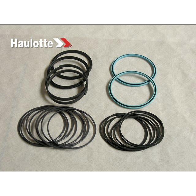Part Number 2505007480 Seals Kit fits Haulotte