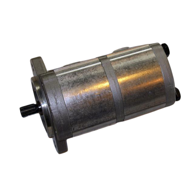 2505008760 Gear Pump | Genuine Haulotte