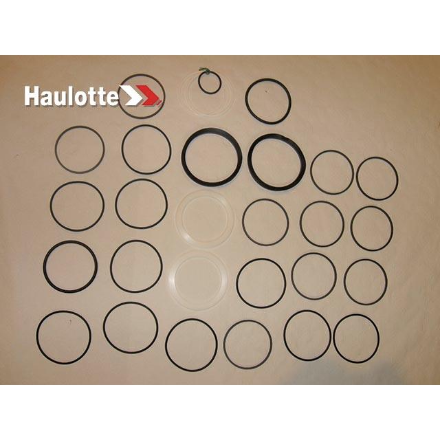 4000049480 Seal Kit | Genuine Haulotte