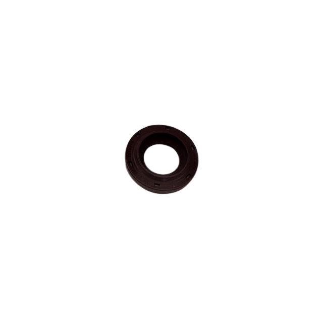 4000389060 Guide Ring | Genuine Haulotte