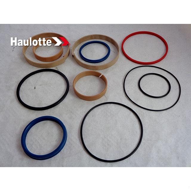 4000391460 Seal Kit Fl | Genuine Haulotte