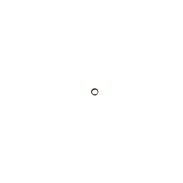 4000706050 O-Ring | Genuine Haulotte