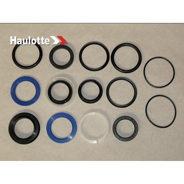 ABM06859 Seal Kit | Genuine Haulotte