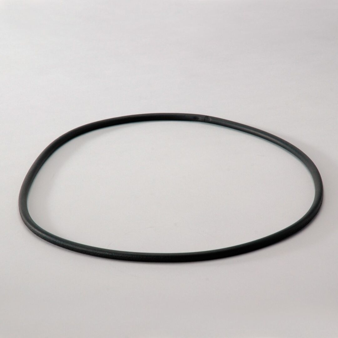 P017568 D/S, Seal | Donaldson