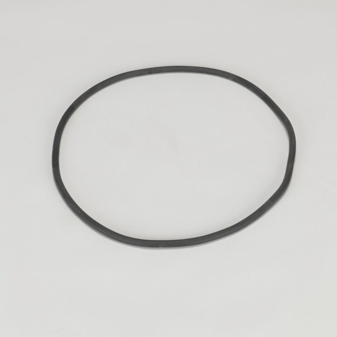 P017804 Ds, O-Ring, Case Of 5 | Donaldson