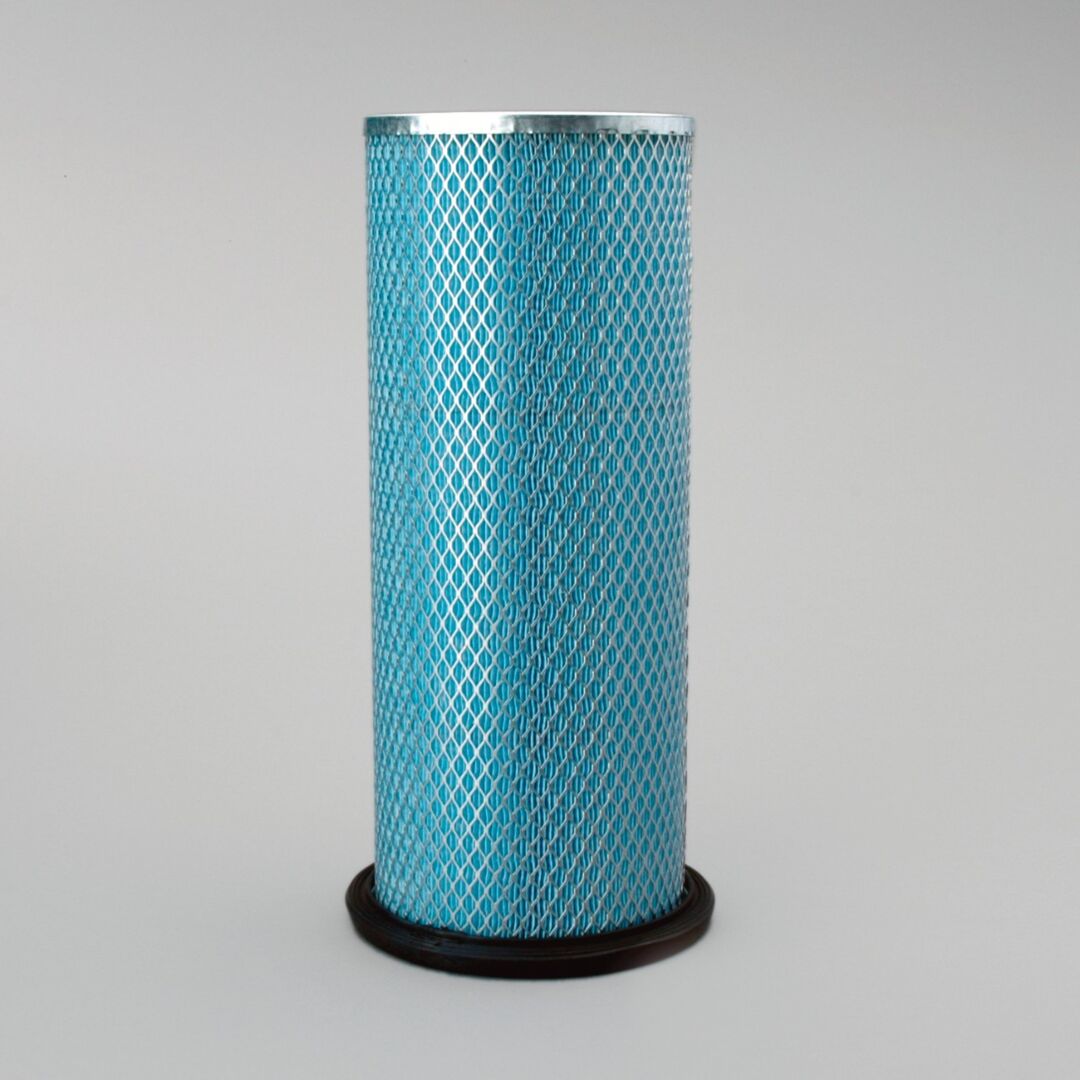 P119373 D/S, Air Filter, Safety | Donaldson