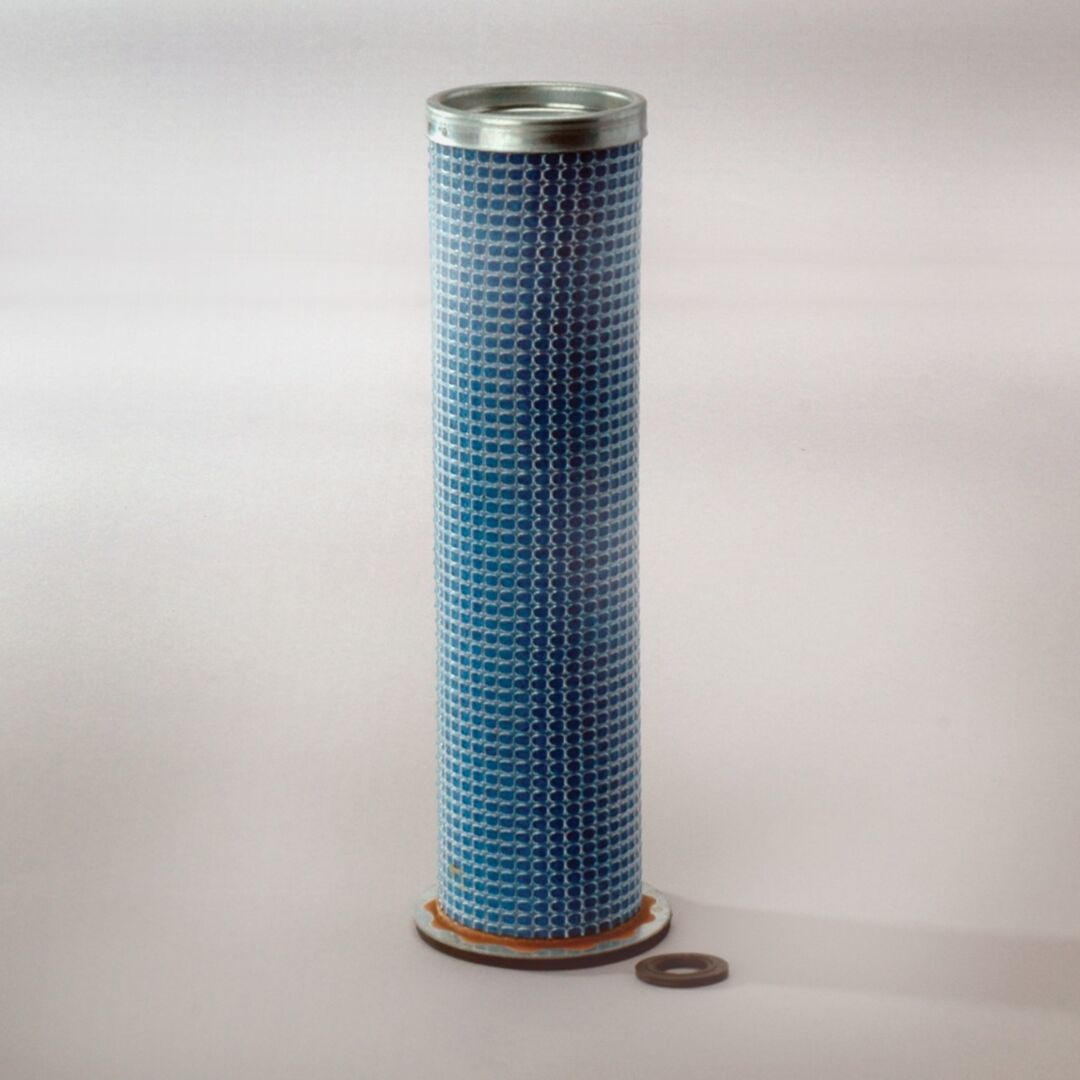 P119791 D/S, Air Filter, Safety | Donaldson