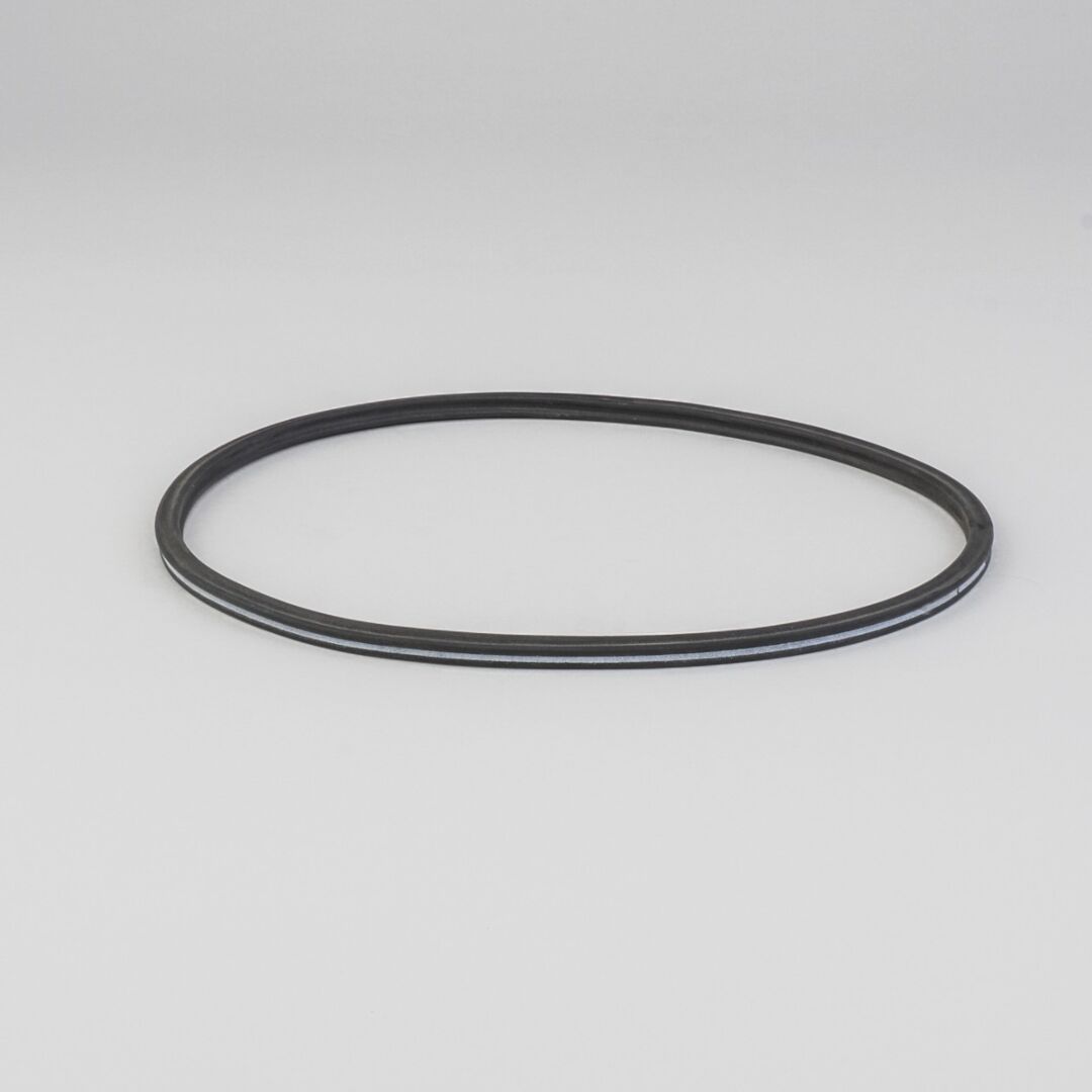 P127329 D/S, Gasket | Donaldson