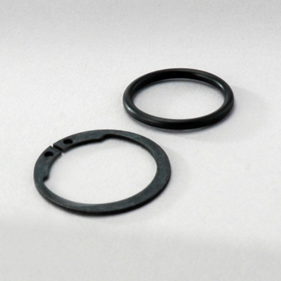 P160779 D/S, O-Ring & Retaining Ring | Donaldson