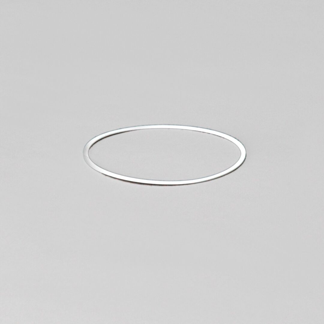 P161464 D/S, Hydraulic Back-Up Ring | Donaldson