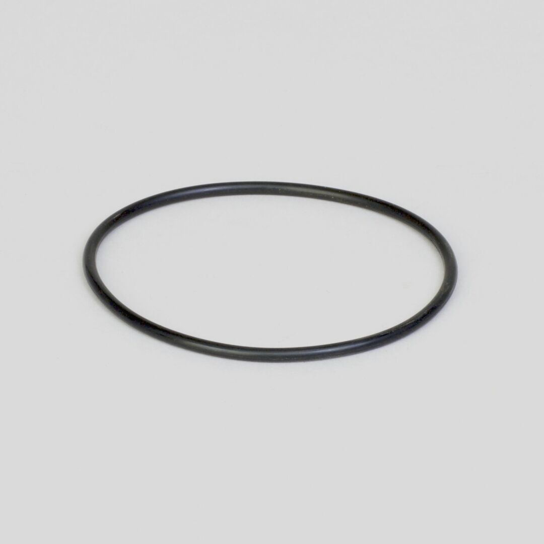 P162005 D/S, O-Ring, Hydraulic | Donaldson