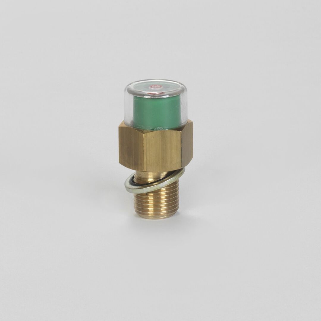 P171945 D/S, Hydraulic Indicator Assemb | Donaldson