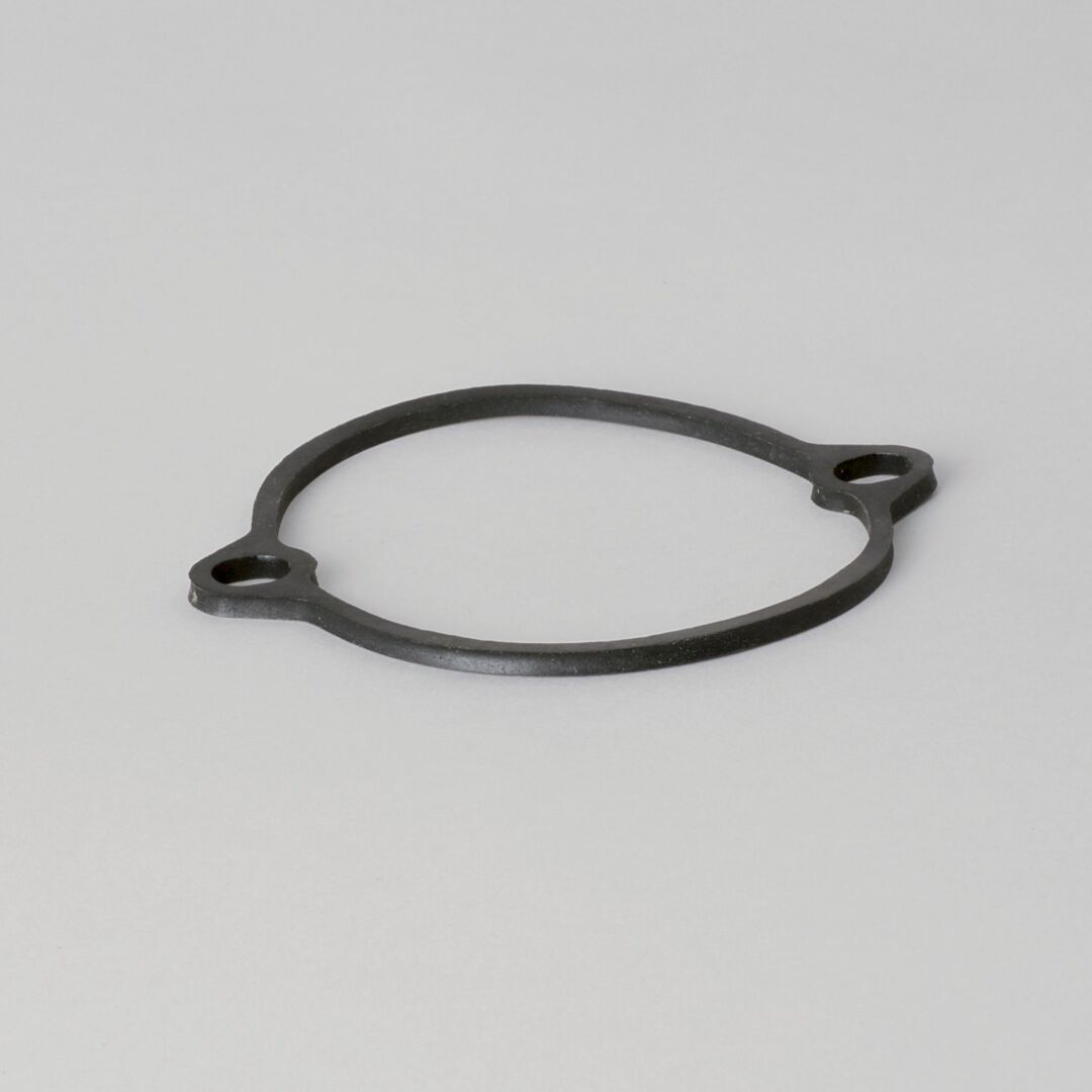 P174035 D/S, Gasket, Hydraulic | Donaldson