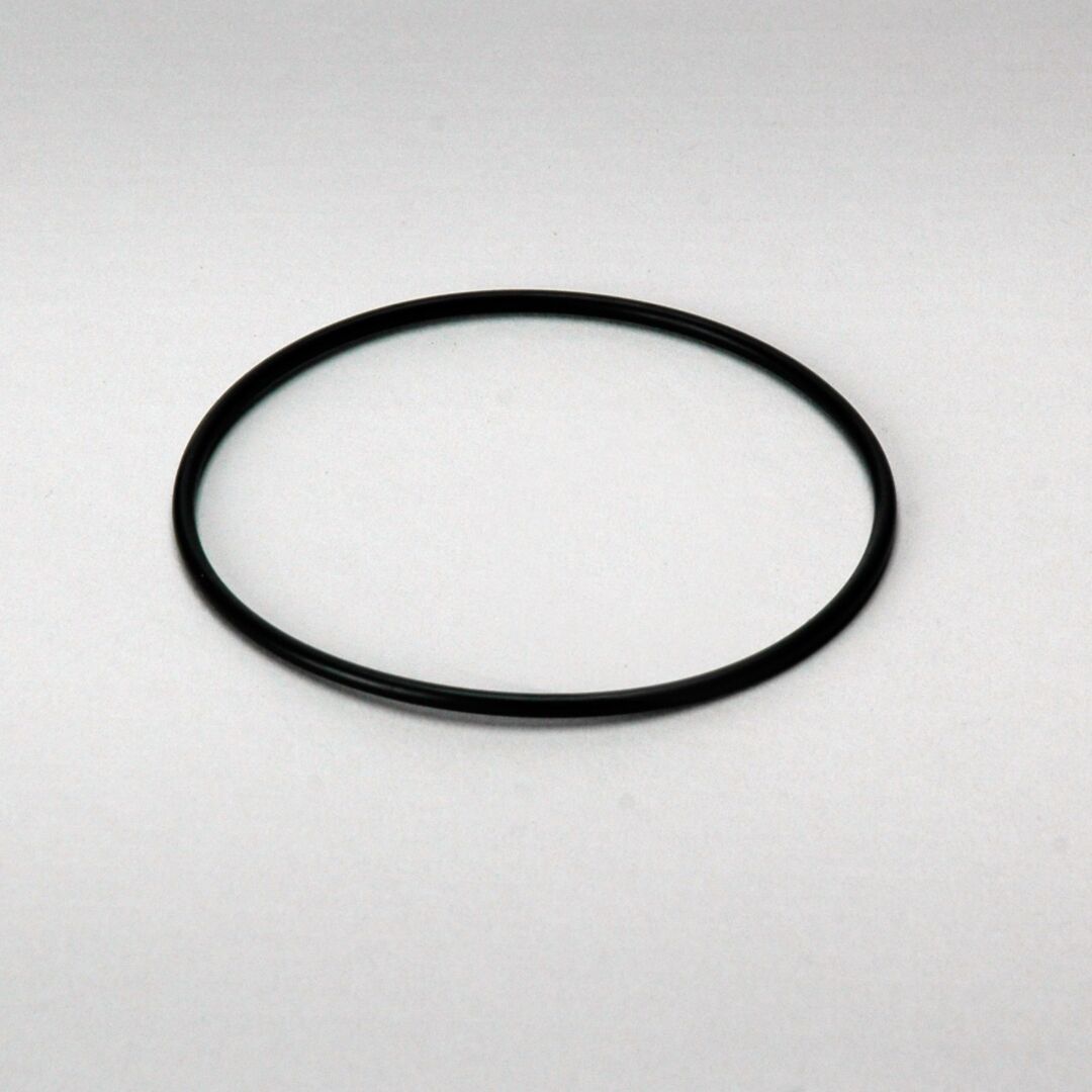P174051 D/S, O-Ring, Hydraulic | Donaldson