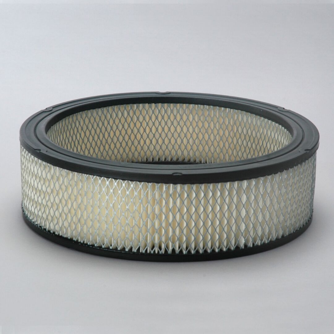 P524355 D/S, Air Filter, Primary Round | Donaldson