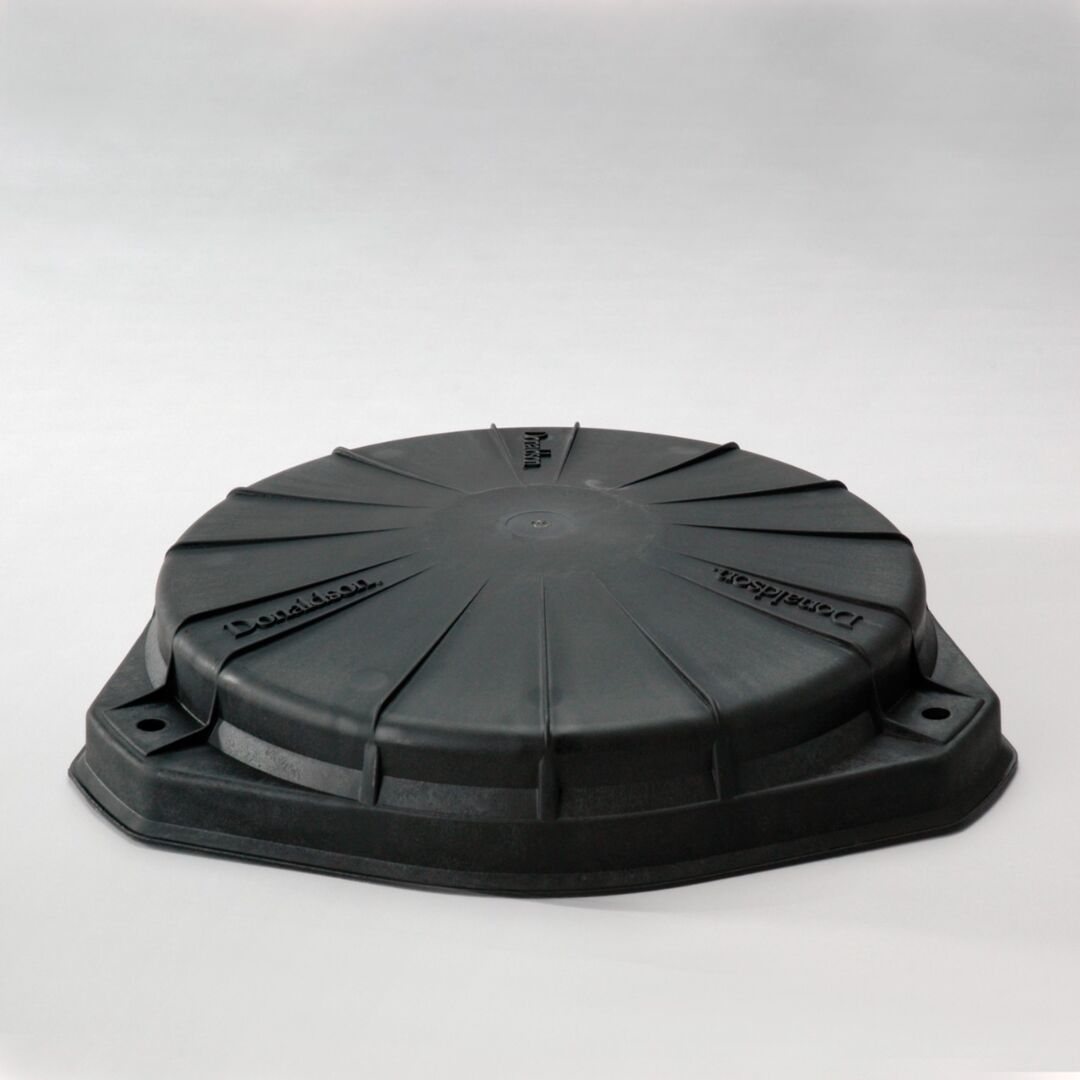 P533916 D/S, Service Cover | Donaldson