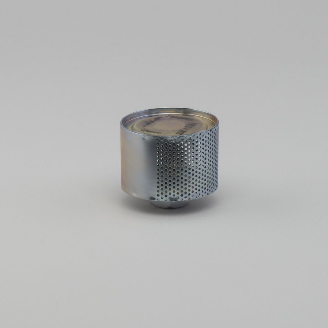 P562287 D/S, Diffuser | Donaldson