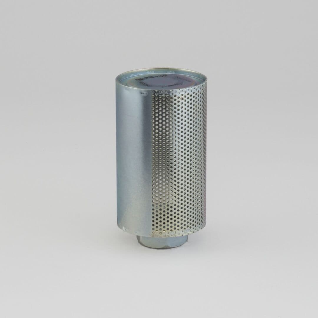 P562289 D/S, Diffuser | Donaldson